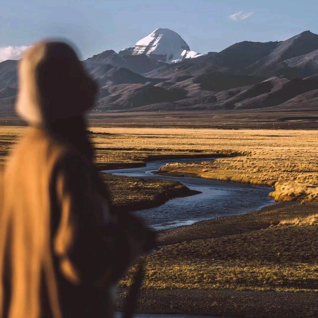 我什么也不知道🤷