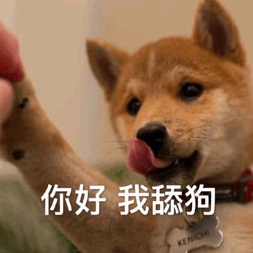 旺旺追天鹅