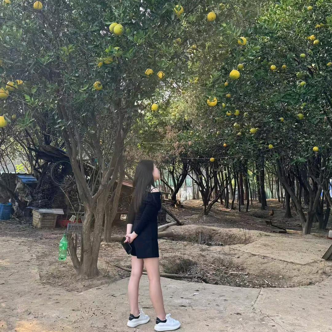 胡柚柚🍊