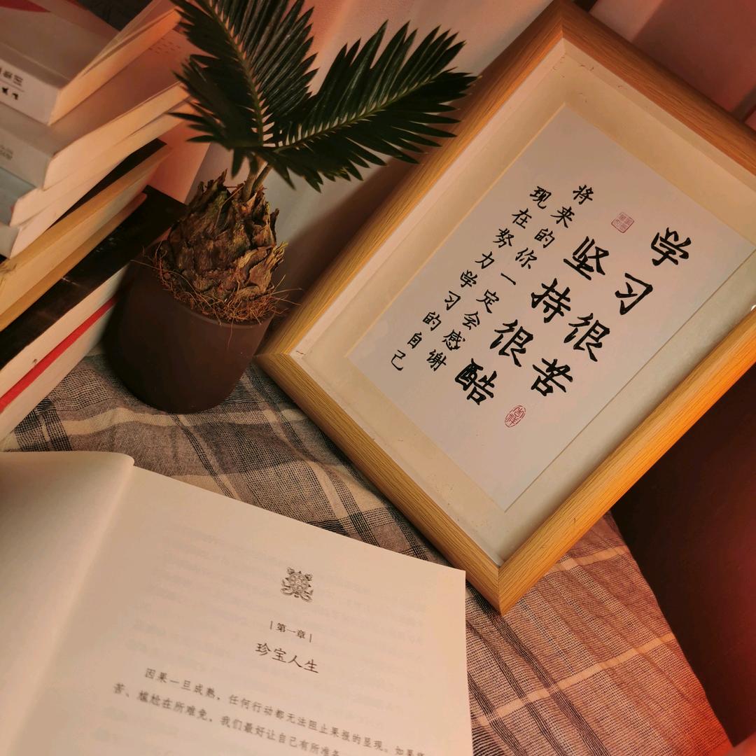 乒乓莎莎
