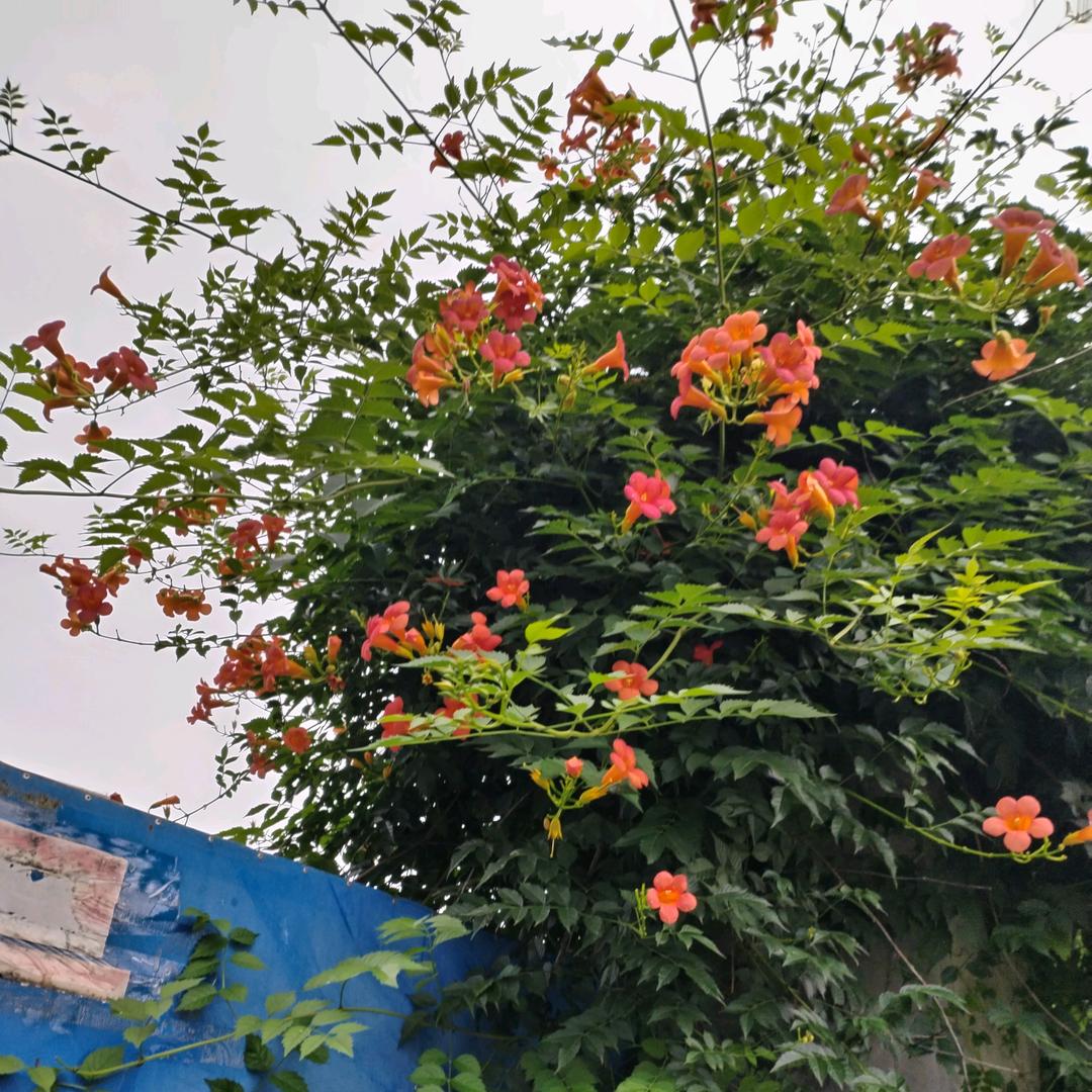 平安快乐（拒私聊）