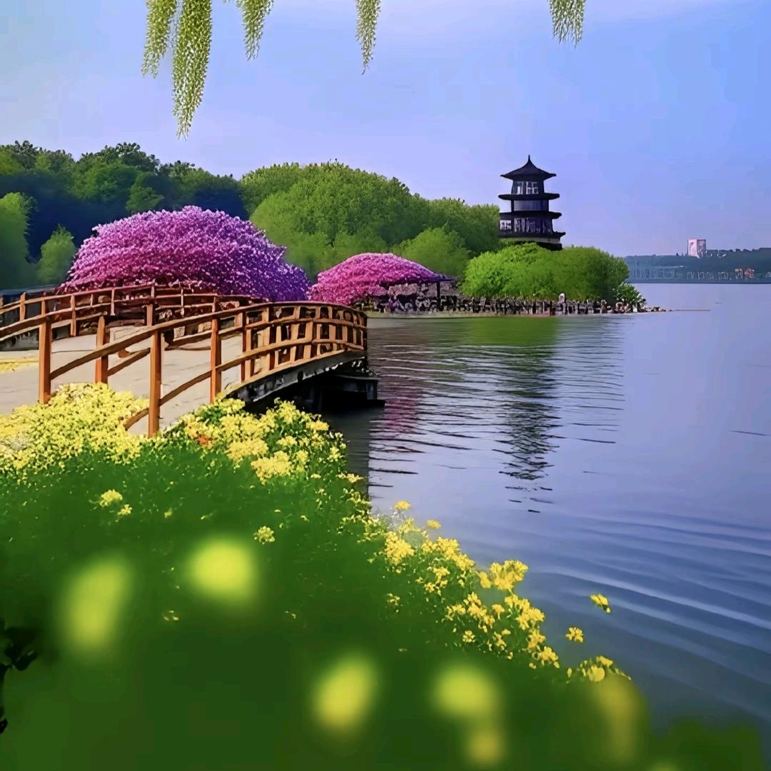 美美姐