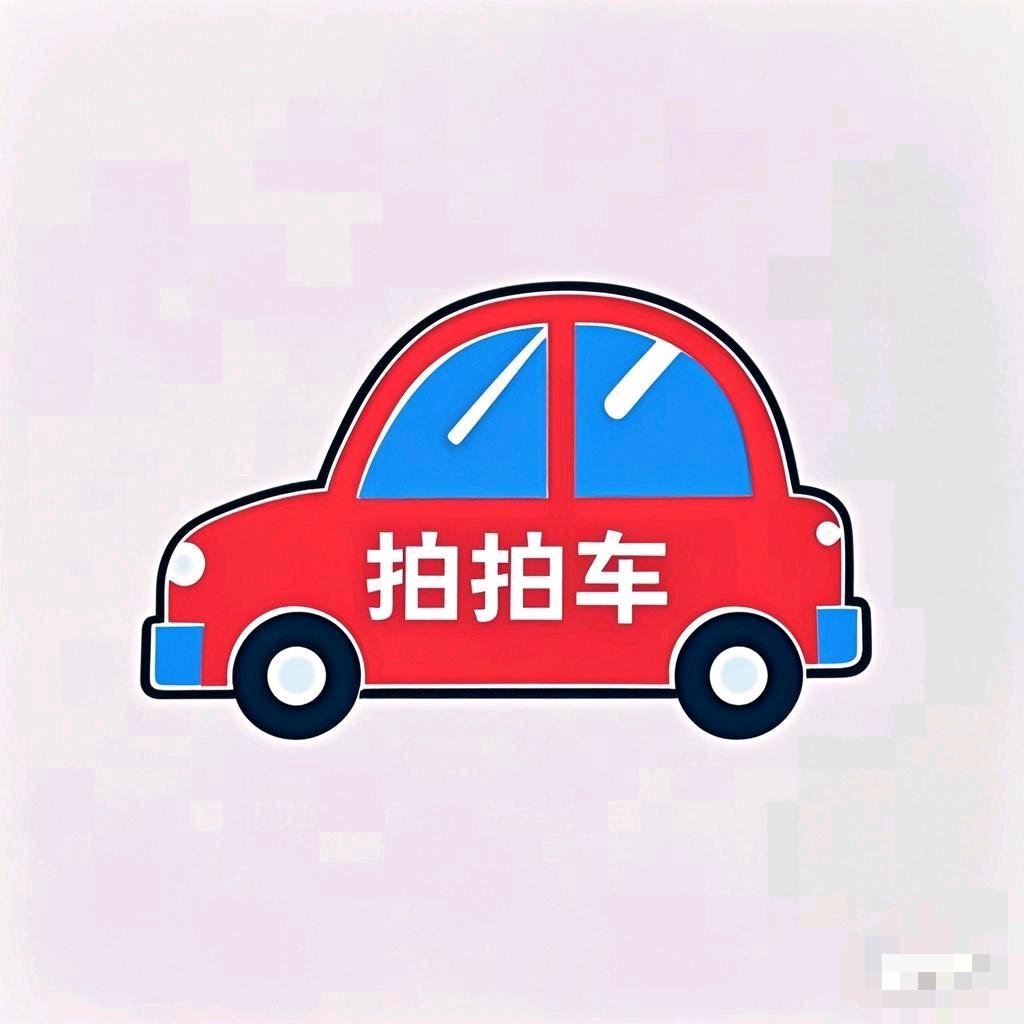 拍拍车