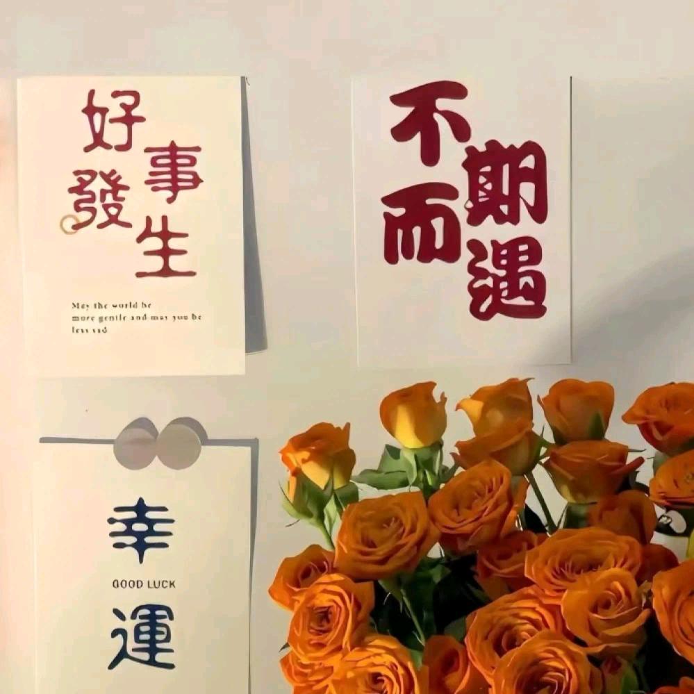 🌈十一🌈