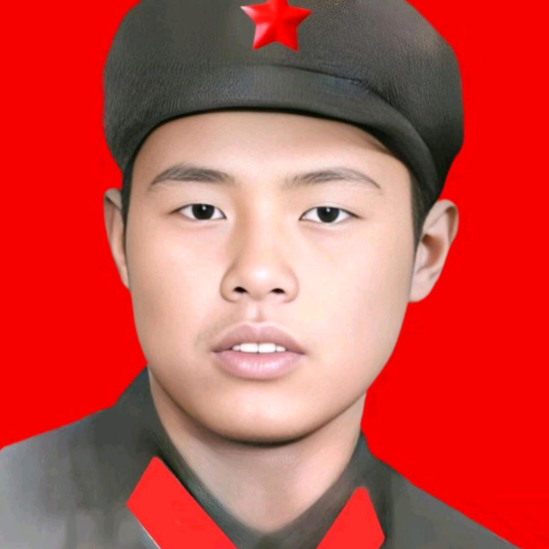 不老松