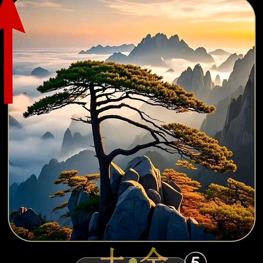 🍎杨帆起航