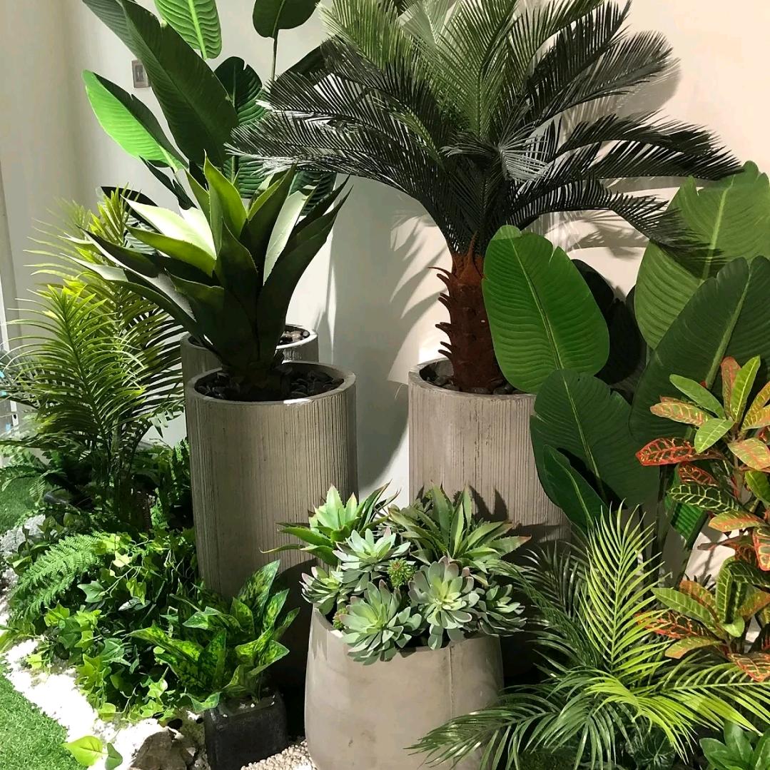 繁花鲜花绿植小铺