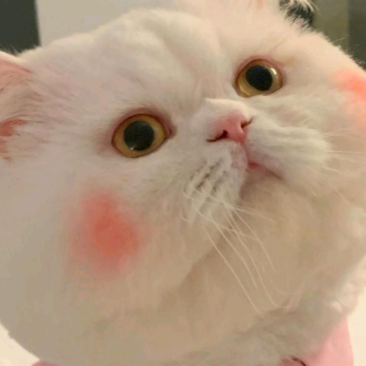美满