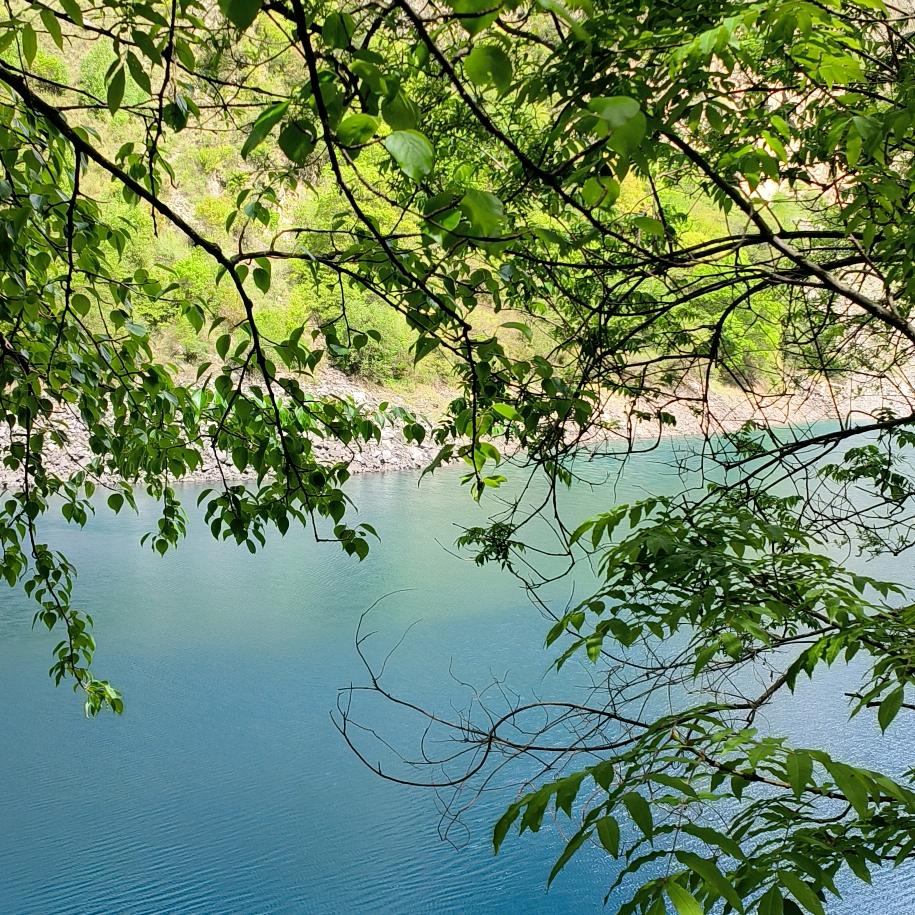 🍡一笑而过🍡🐯