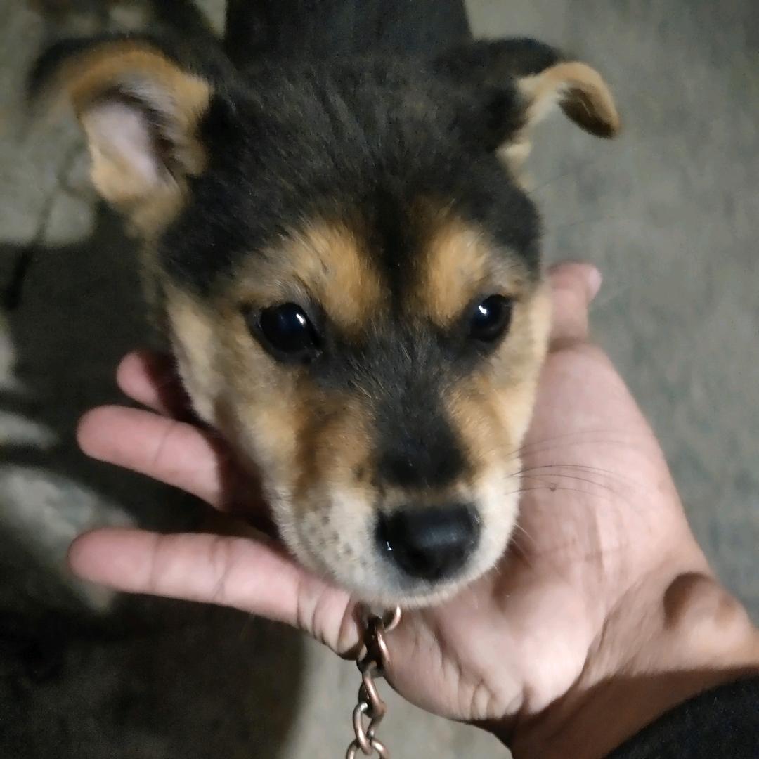 A佛山Galaxy星河 - 王哥