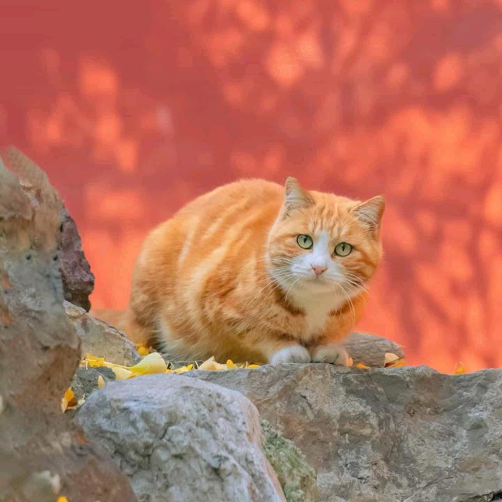 郝邵文直播严选