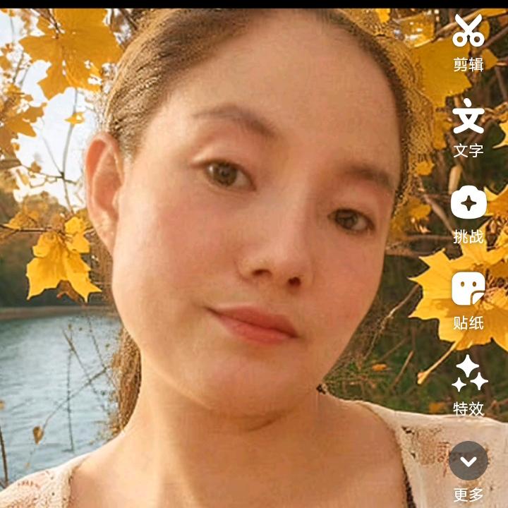 刘叶子