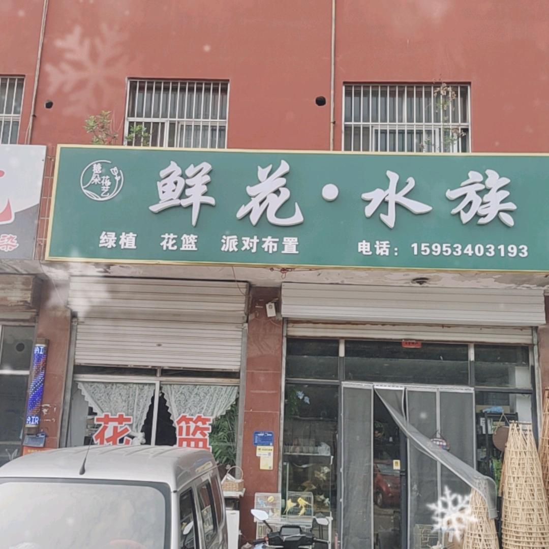 鲜花•水族（四中北门西邻）