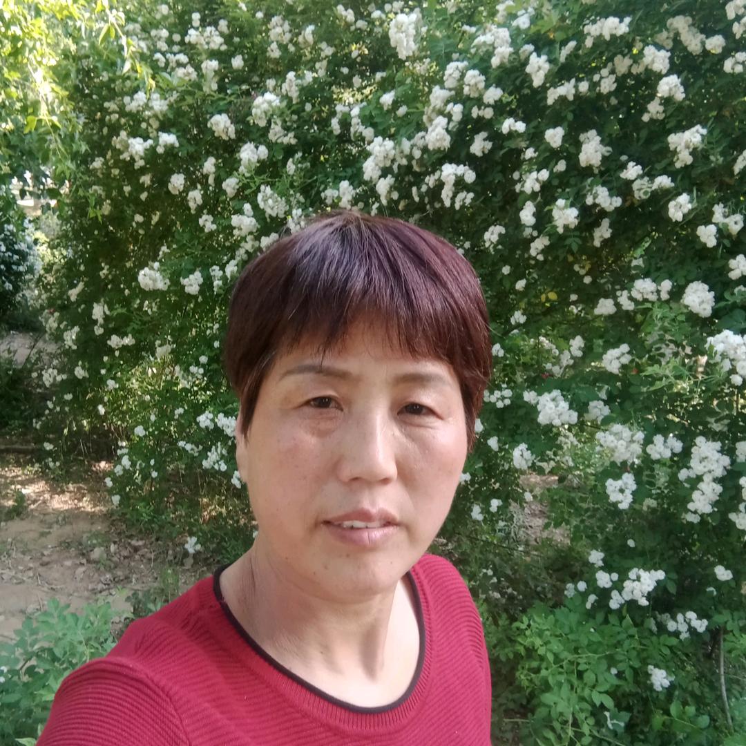 一菲一乐