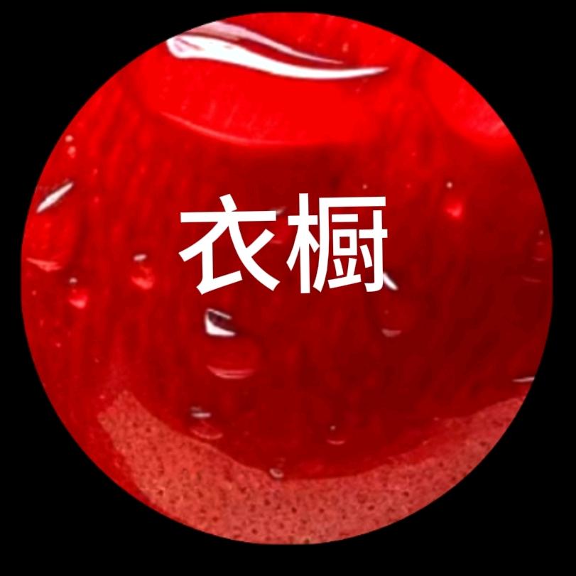 大包子衣橱