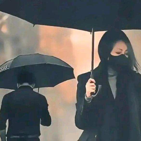 💘💘❤️在八速