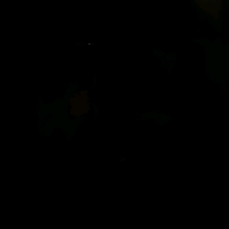 沐木