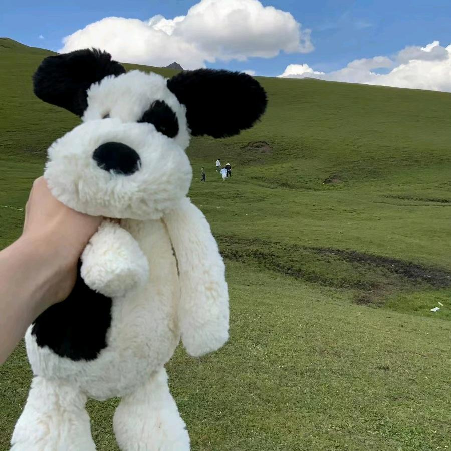 -装修找 多多❤～