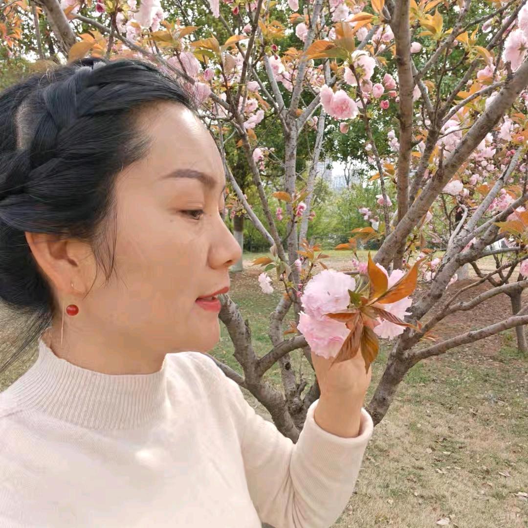 丹丹②首播13:15