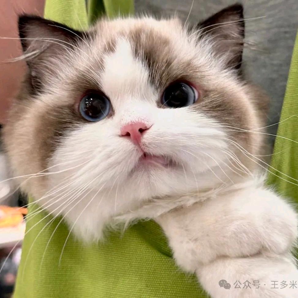 生气就哄不好咯～