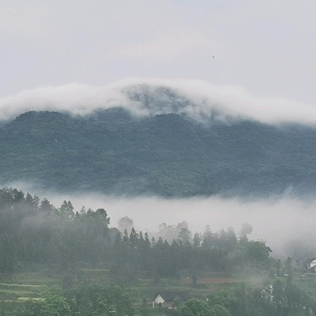 五秦三楚