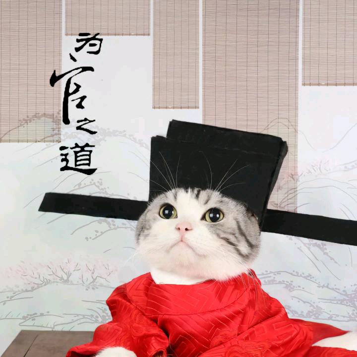 猫令君