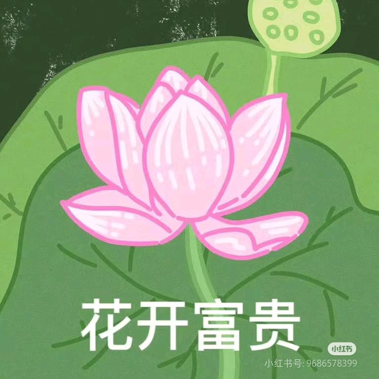 小锅（邪修赚钱版！）
