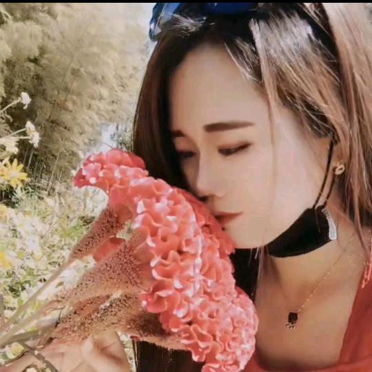木🌸子