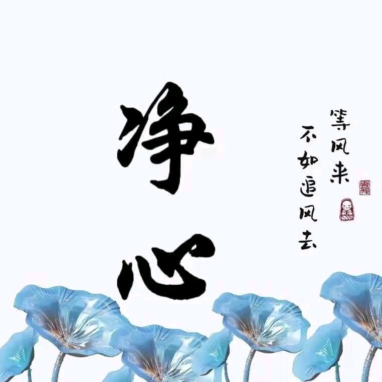 无言居士说兔