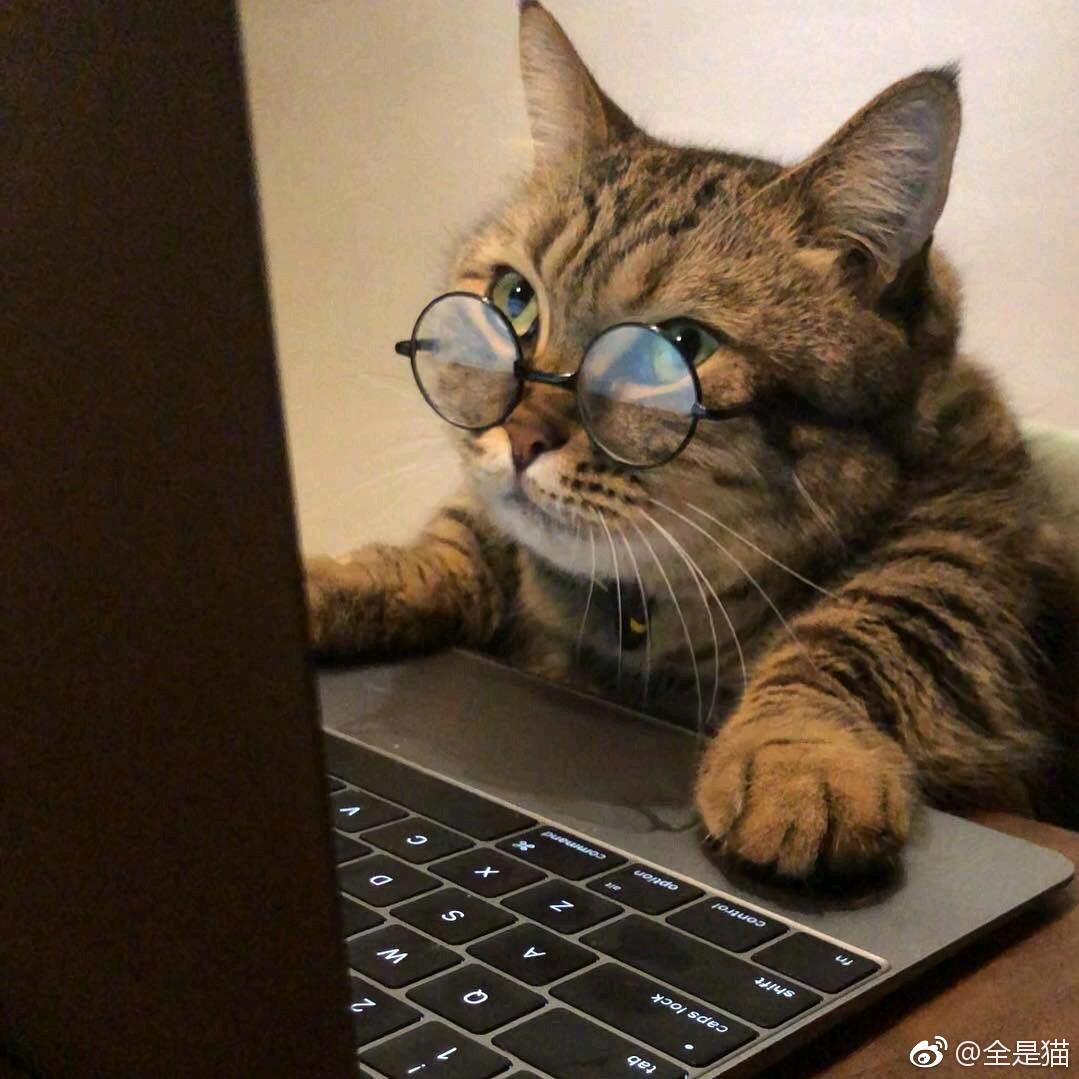 光年