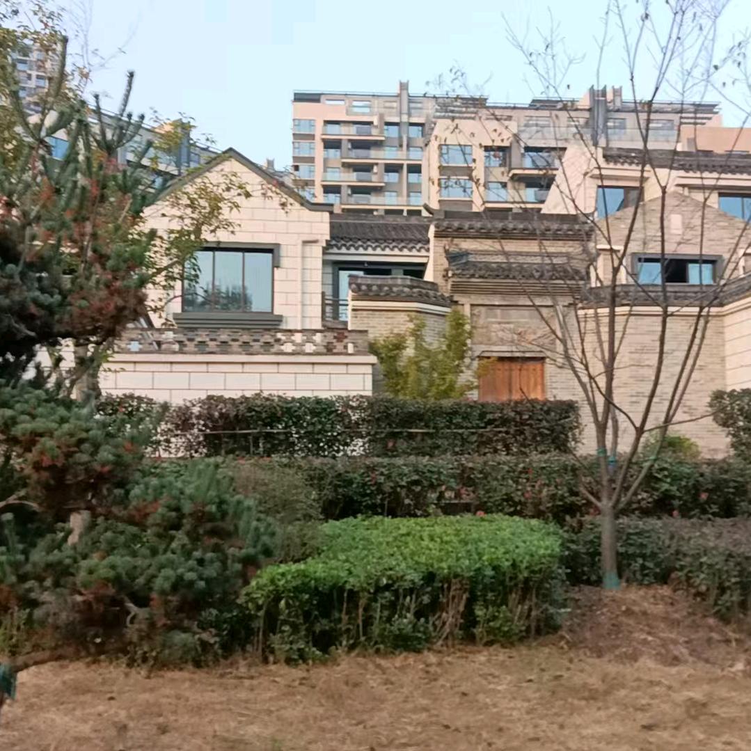 阜阳罍街房姐：张洪贞🌹