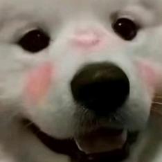 💋꯭ꦿএ释然💞ꦿꦿ