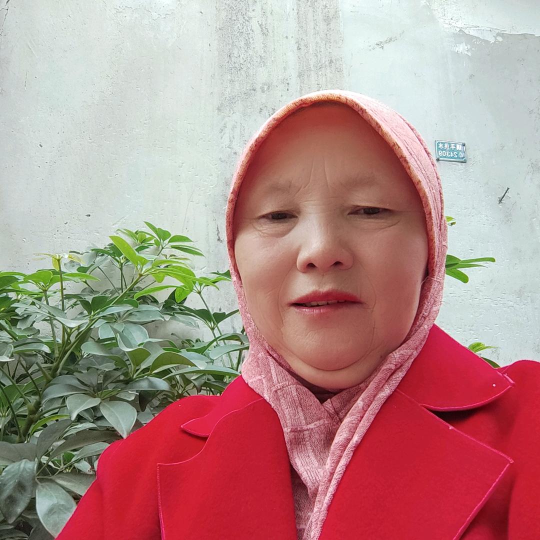 河南兰姐