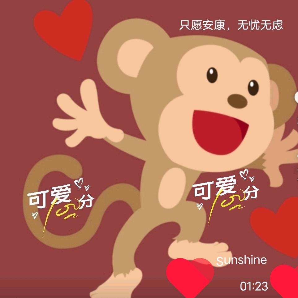 小肥燕儿1218