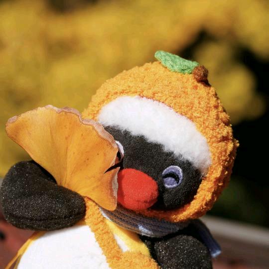 「是叶知杉啊」