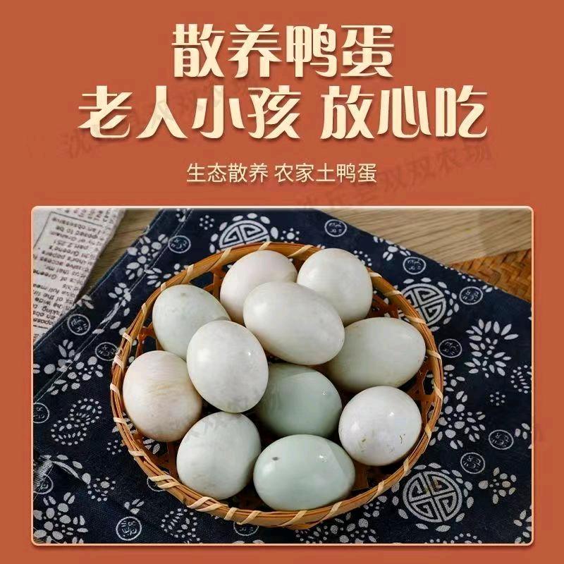 鸭二代