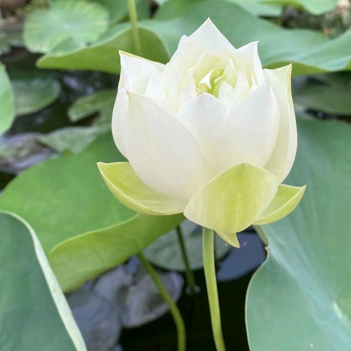 那就这样吧。