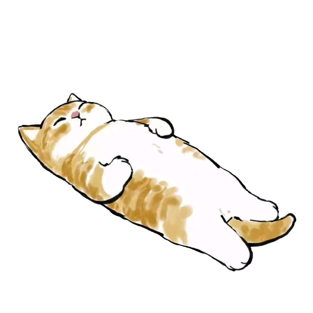 诵读的猩♠️猩