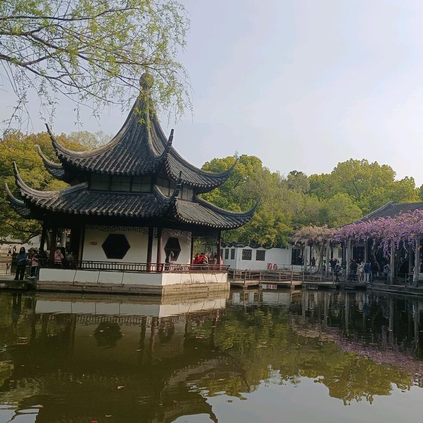 小熊迷路啦