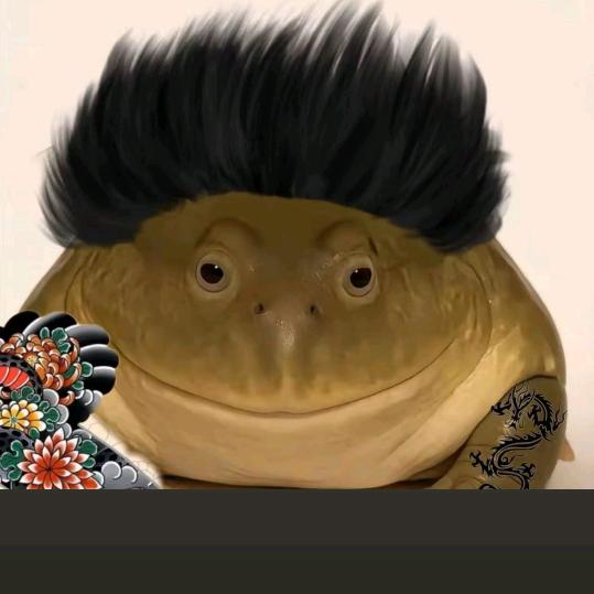 王者荣耀蛤蟆（05最强中单）