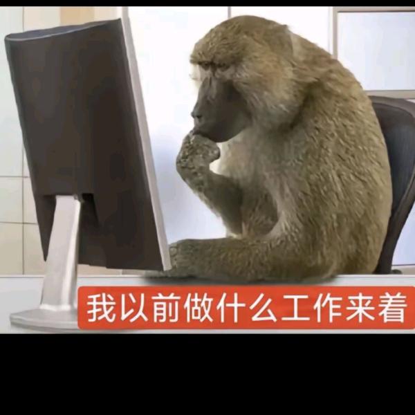 抖音问政