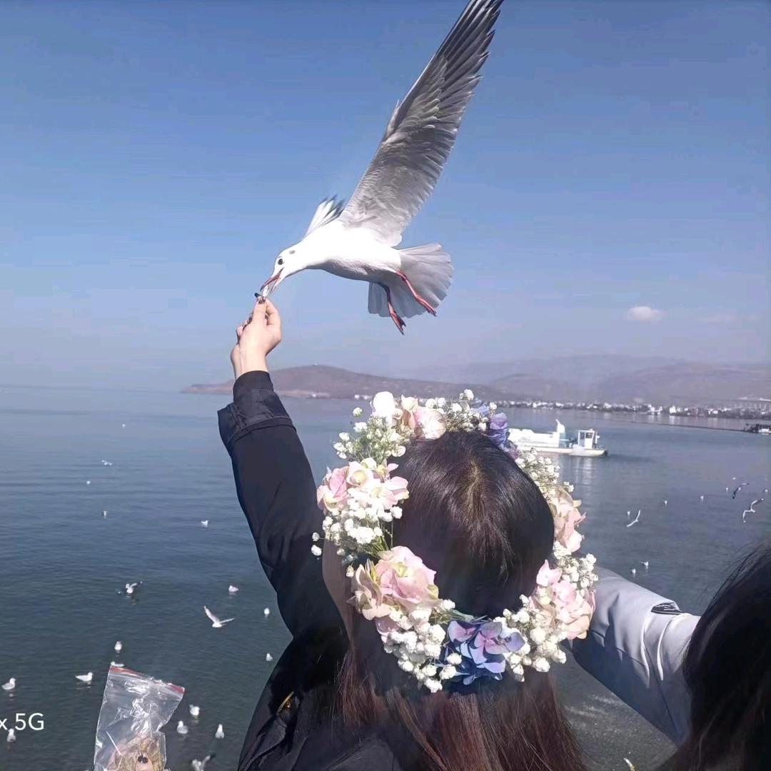 💞余生᭄ꦿ꯭随心💞