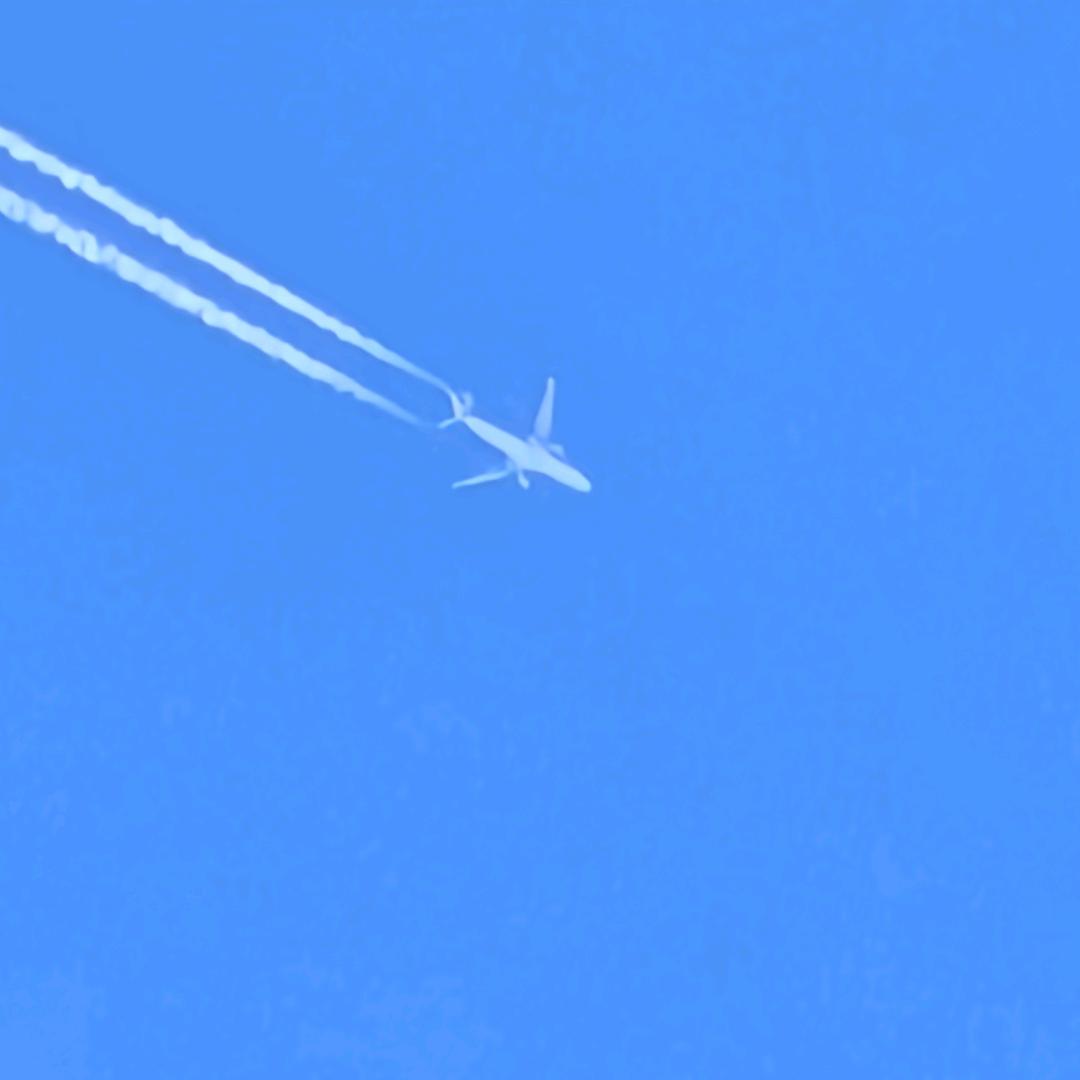 晴空®
