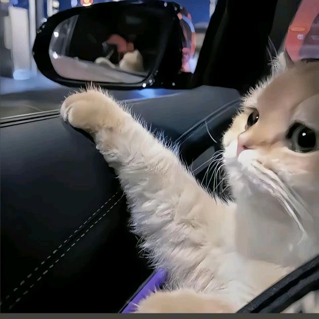 Aurora为什么被用了