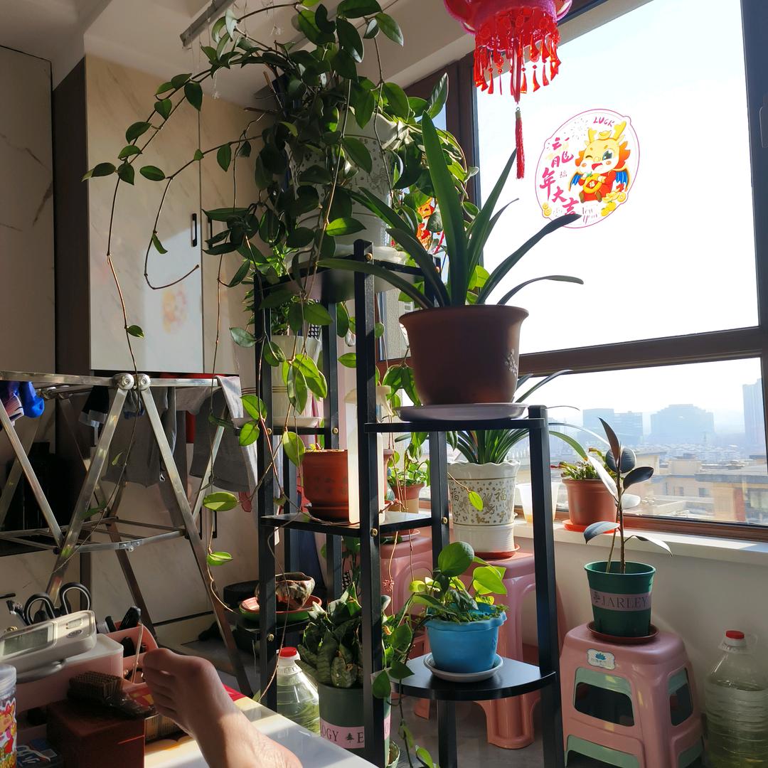 用户4104643543247柳暗花明