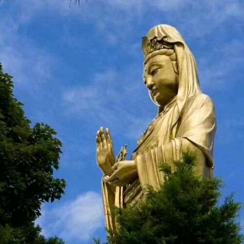 普陀山梅佩娣