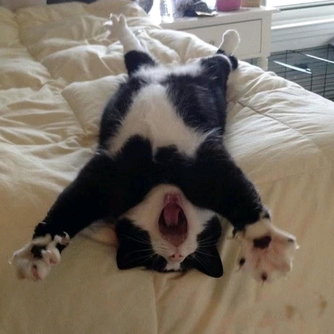 豆角