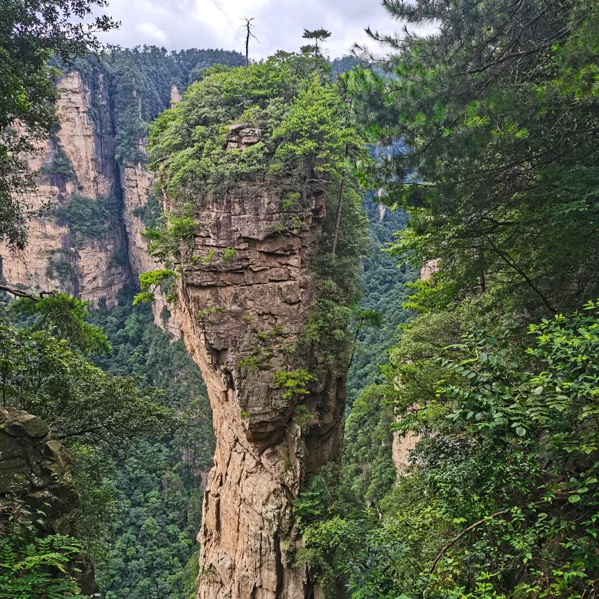 解脱