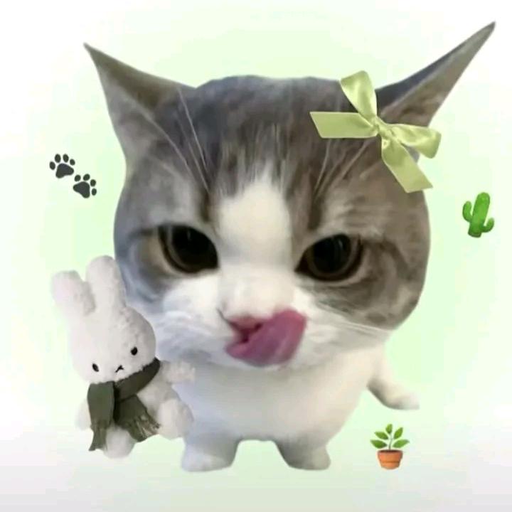 薄荷.🍀