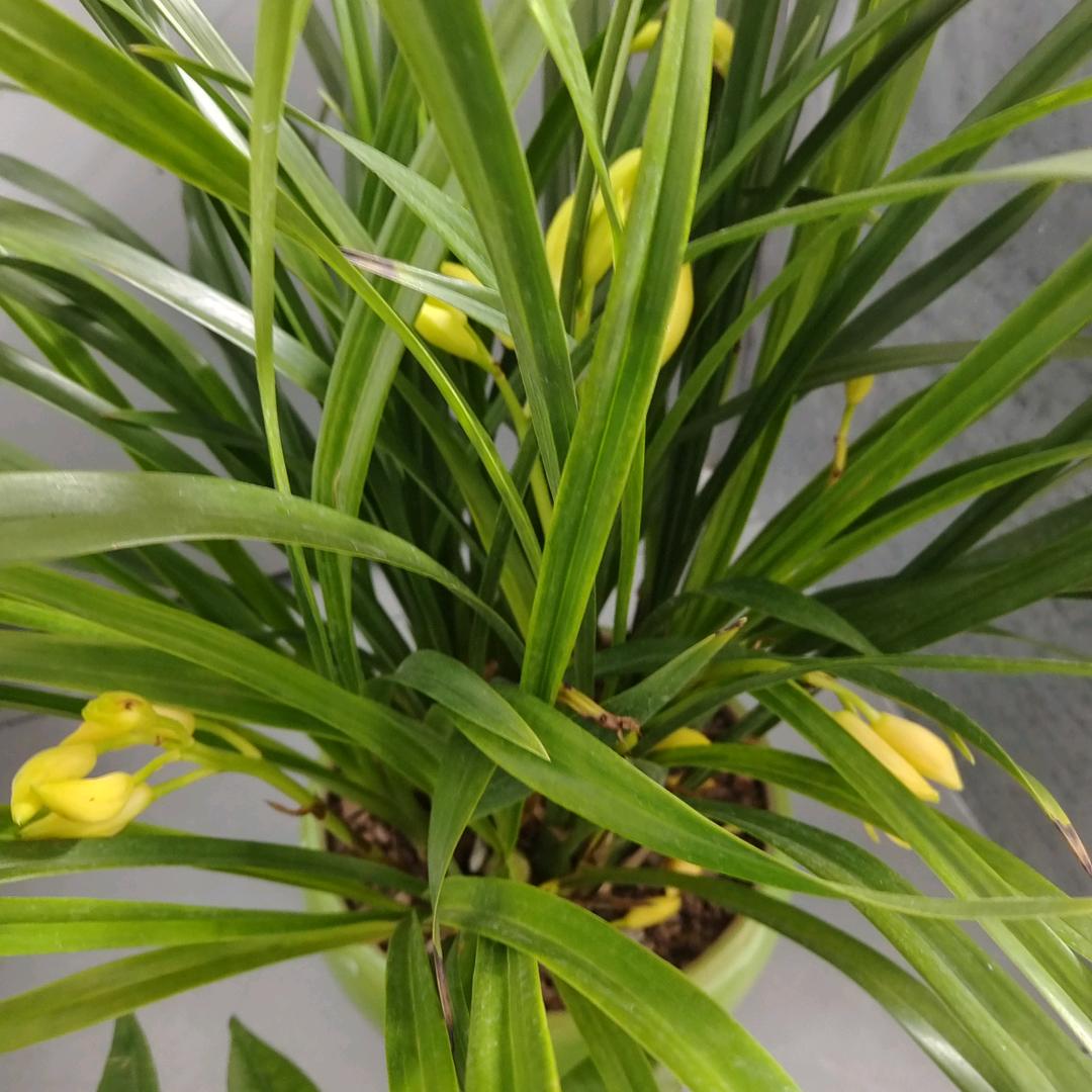 主动联系我一次